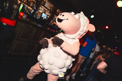 't Lammetje 27 juli 2024