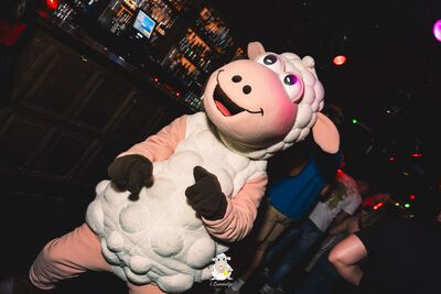 't Lammetje 27 juli 2024