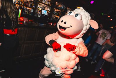 't Lammetje 27 juli 2024