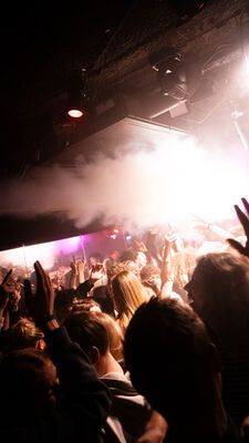 't Lammetje 21 februari 2025