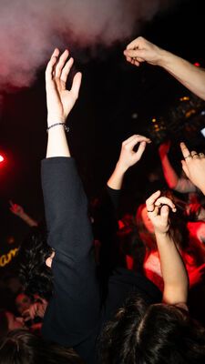 't Lammetje 21 februari 2025