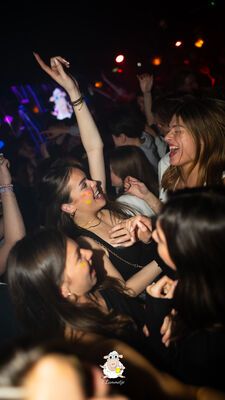 't Lammetje 27 februari 2025